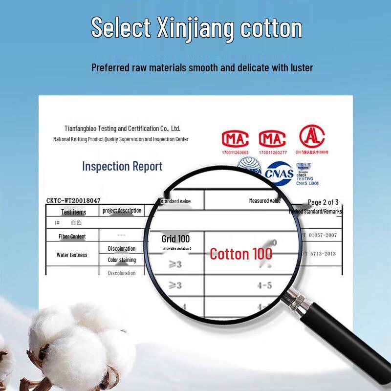 Urban Beauty Women's Pure Cotton & Silk 4-Pack Briefs