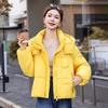 Solid color casual contrasting color zipper cotton clothes women's short hooded autumn and winter cold jacket offline brick and mortar store