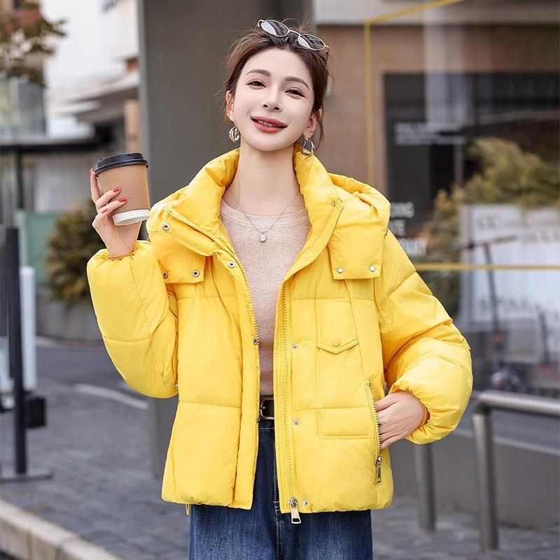 Solid color casual contrasting color zipper cotton clothes women's short hooded autumn and winter cold jacket offline brick and mortar store