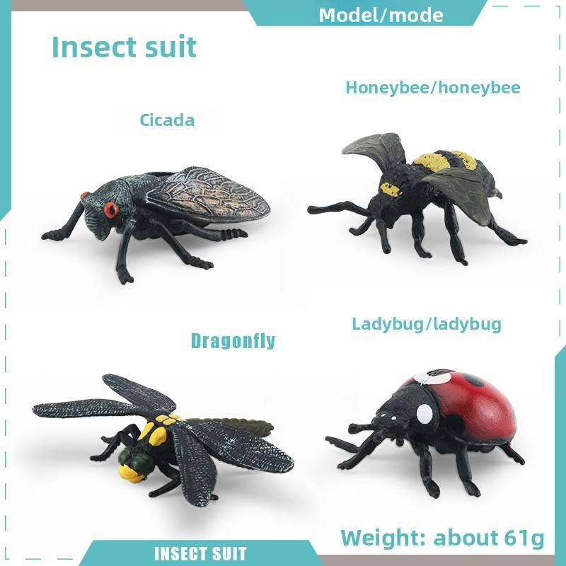 Simulated Wild Insect Butterfly Shoes Spider Dragonfly Model Ornament Set For Educational Displays And Collectors