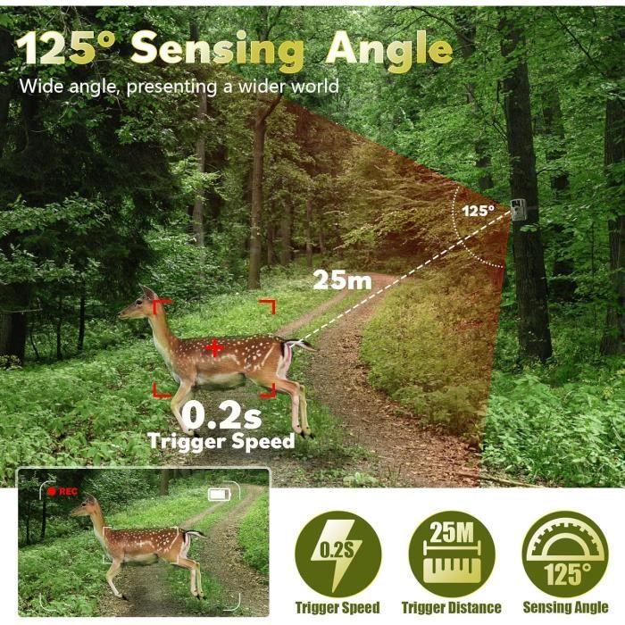 Caméra De Chasse - COOLIFE - H881 - 16MP - 1080P - Vision Nocturne 25m