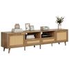 (=N625P237970971A)TV Stand, 200*37*49 cm, Plastic Rattan Design TV Stand, Solid Wood Legs TV Stand, Rattan TV Panel