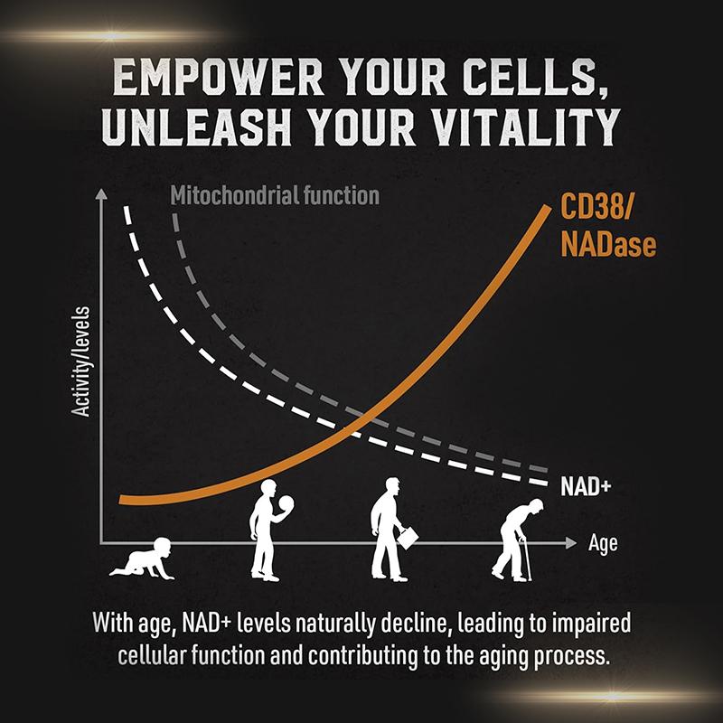Liposome NAD supplement to promote cell repair and energy metabolism - 120 vegetarian capsules