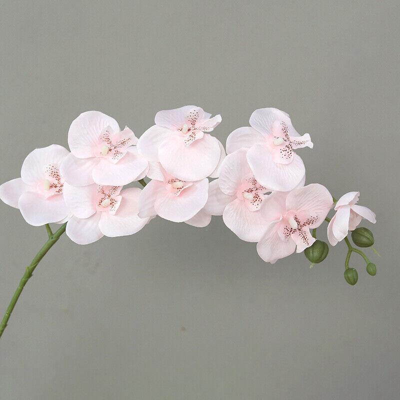 

1PC Petals Decor Artificial Orchids Elegant Long Stemmed Artificial Flowers with Home Decor short світло-рожевий колір