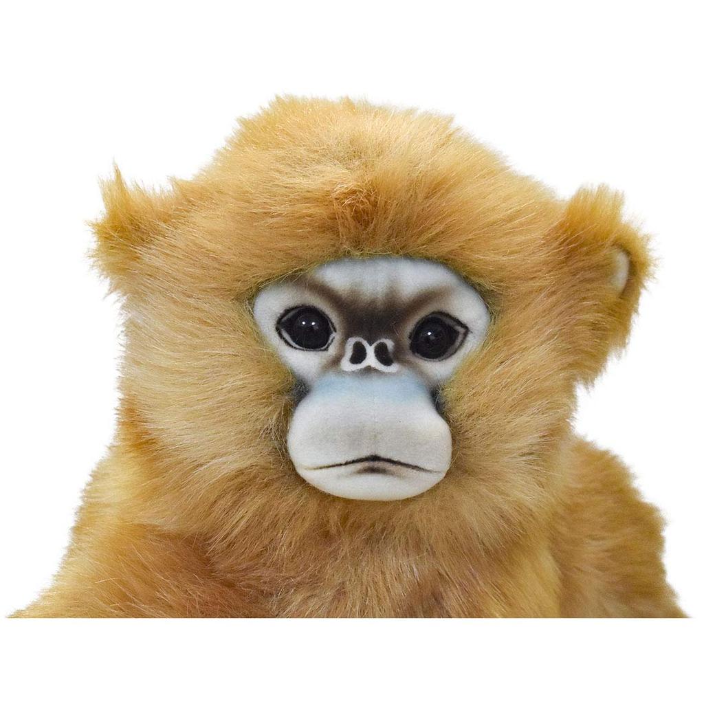 BH6766 HANSA Snub-nosed Monkey 47