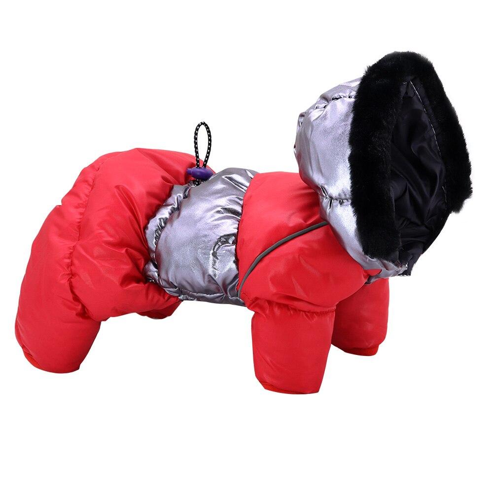extra small dog jacket