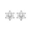 Luxenter Leth Silver Earrings