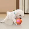 Dog Teasing Ball for Outdoor Active Play and Exercise Ball Rechargeable Toy Waterproof for Shepherds Corgis Collies