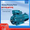 Wolong Nanyang Low-Voltage Variable Frequency Three-Phase Asynchronous Motor with Full Copper Coil.