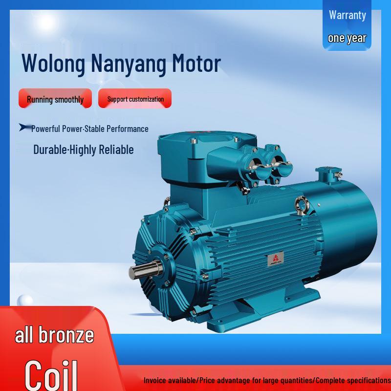 Wolong Nanyang Low-Voltage Variable Frequency Three-Phase Asynchronous Motor with Full Copper Coil.