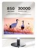 Lenovo T100 2025 4K Home Projector: New Hot Gift Idea