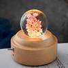 Dandelion Crystal Ball Night Light with Preserved Flower