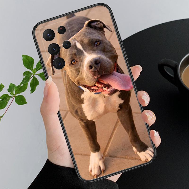 

Phone Case For Samsung A55 A16 A56 A36 A35 A15 A53 A54 A33 A34 A25 A05S A52 A52S A14 A26 A71 Pitbull Terrier Dog A71 4G