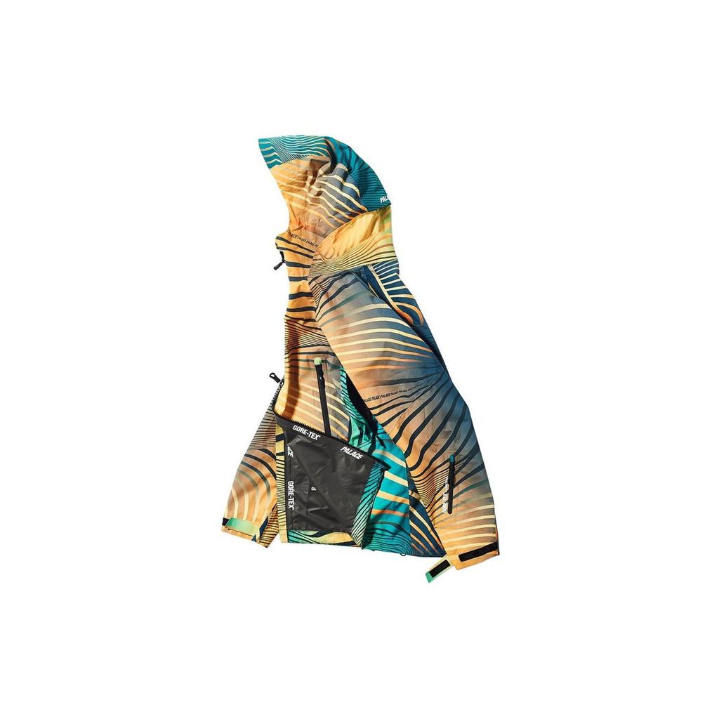 Palace Gore-Tex Vortex Paclite Jacket Unisex Jacket Green P18fw231