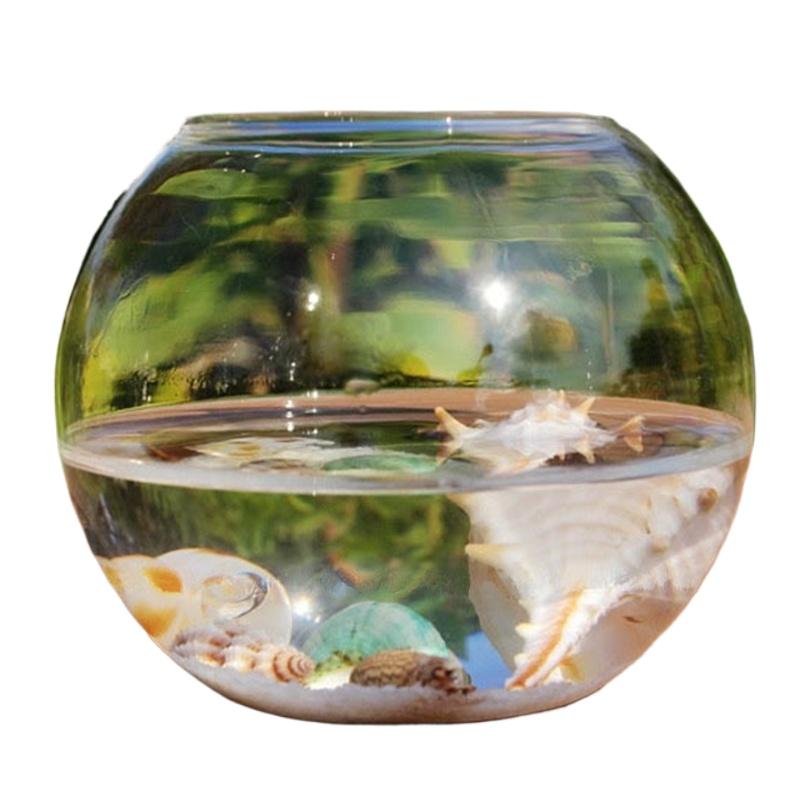 8/10/12/15cm Round Ball Vase Micro Landscape Moss Ecological Bottle Transparent Hydroponic Vase Simple
