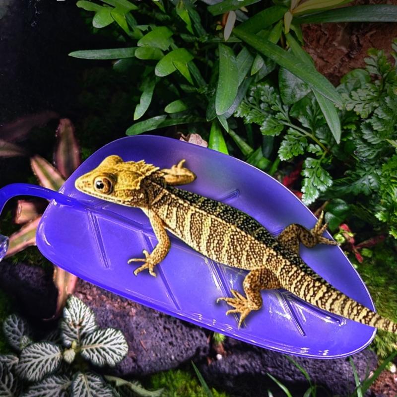 Lizards Basking Platform Tanks Accessories Leaf Shape Bearded Dragon Basking Platform with Suction Cup Decorations