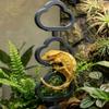 Reptile Climbing Ladder Terrarium Decor Anti-slip Gecko Climbing Frame Hide Rest Platform For Crested Gecko Reptile Tank