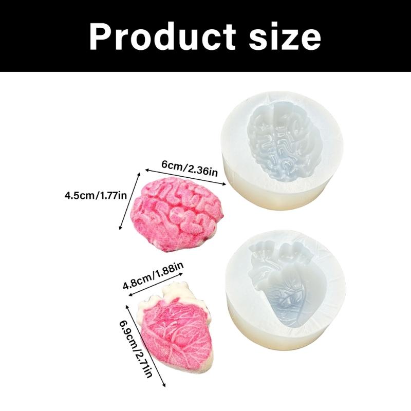 Realistic Brain/Organ Silicone Mold For Medicals Education Art Craft Professional Handmade Jewelry Making Mould