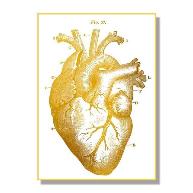 Human Organ Bone Tissue Structure Poster Golden Nordic Retro Style Canvas Painting Living Room Wall Art Prints Modern Home Decor No Frame