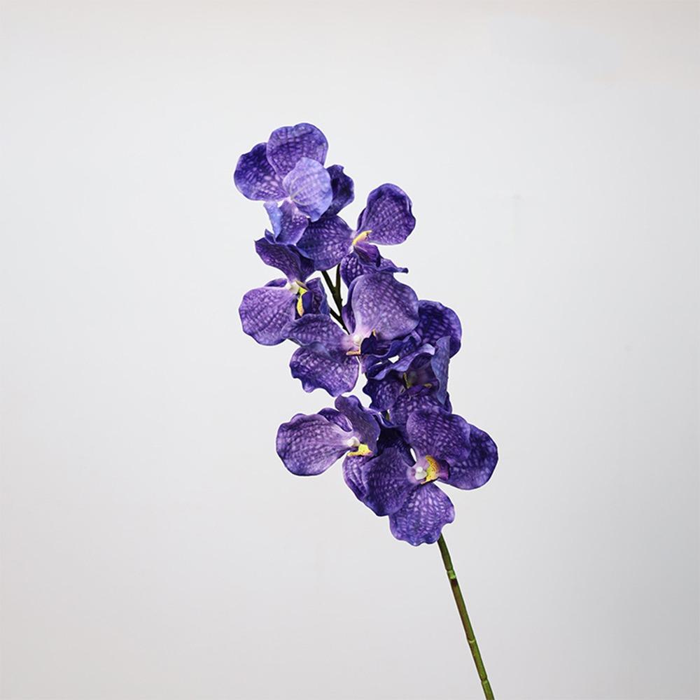 Plastic Phalaenopsis Branch Moisturizing Real Touch Orchids Simulation Flower  Office Decor