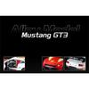 1/24 Ford Mustang GT3 Co-brand Version Alloy Sports Car Model Metal Track Racing Car Vehicle Model Sound and Light Kids Toy Gift