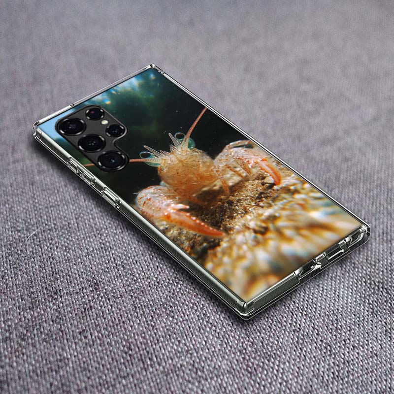 

A Beautiful and Unique Look at a Common Shrimp Phone Case For Samsung Galaxy S24 S23 S21 S20 FE S22 S26 Ultra S25 Edge S10 Plus Samsung S25 Edge