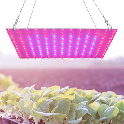 LED-Wachstumslicht Rot Blau Vollspektrum 169 LEDs Wachstumslampen LED-Panel Wachstumslicht für Sukkulenten