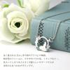 Gin no Disney Limited Edition Alice in Wonderland Sterling Silver Adult [Shinjuku Kura] Necklace, 925, Diamond, Women's Gift,