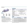 Airtac Type SAI Series Pneumatic standard cylinder SAI32 40 50 63 80 Bore 25s-350s Stroke Double Acting Pneumatic Cylinder