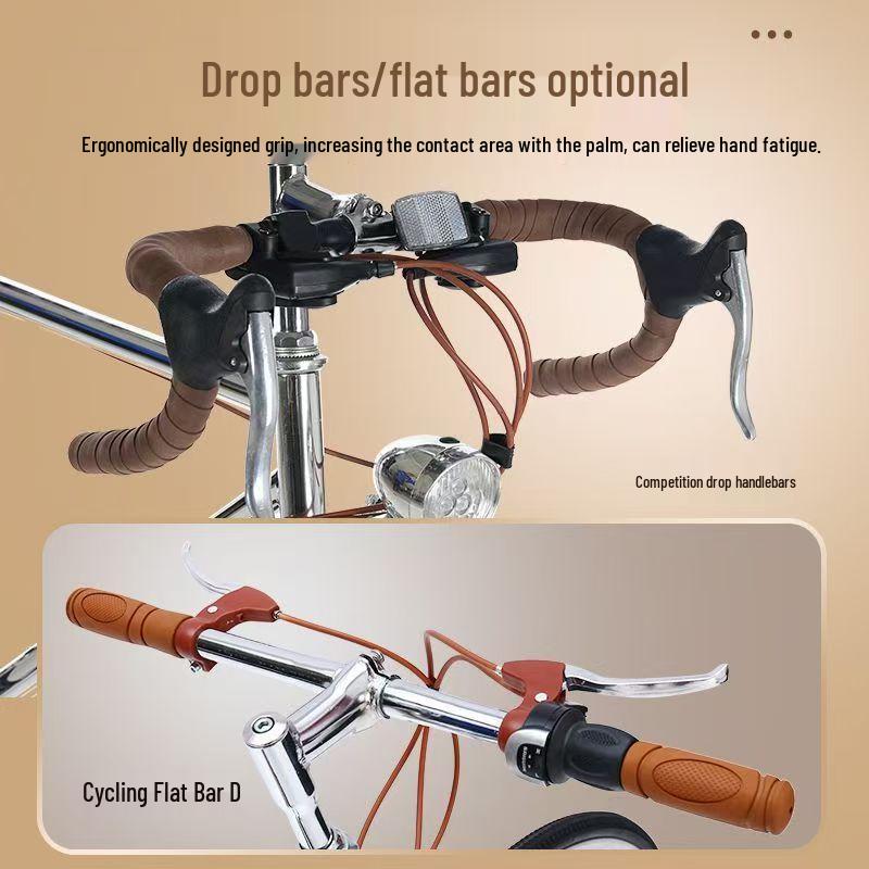 Chuanqin Retro Road Bike
