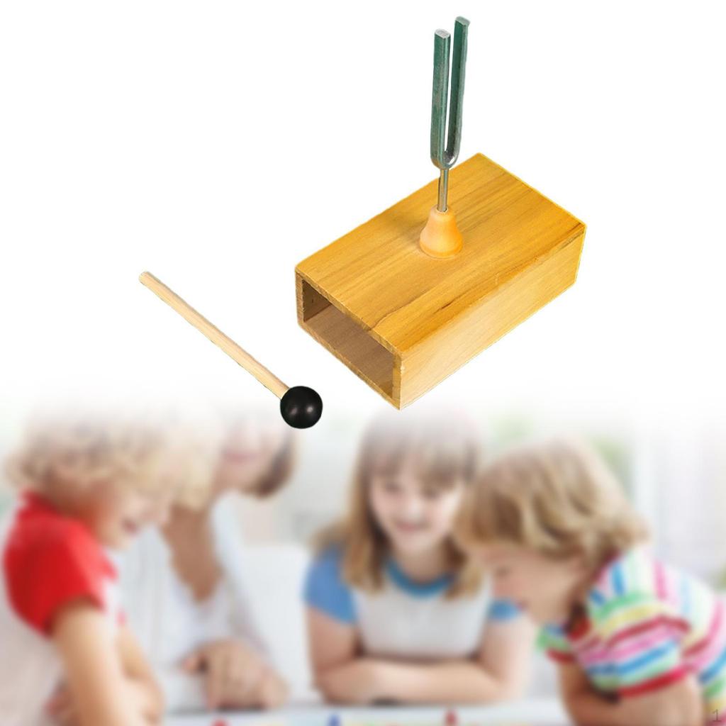 Stimmgabel Experimentalinstrument mit Resonanzkasten Singtonsatz für