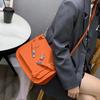 Bag Gypsy Bag OL Genuine Leather Platinum Bag Tote Bag Women's Bag Crossbody Bag