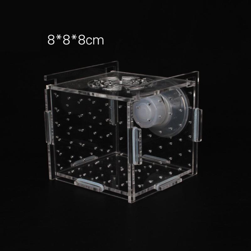 Single Grid Breeding Box Incubator Isolation Hairtail Nursery House Aquarium Accessaries