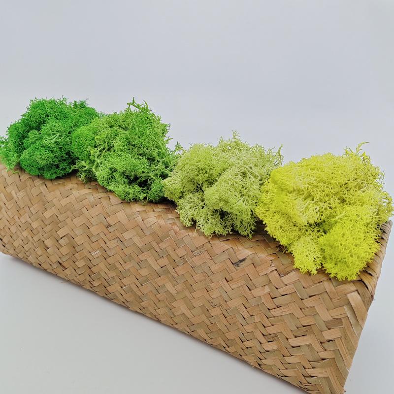 Handmade Artificial Plants Preserved Moss Simulation Fake Plant Garden Decor Landscape Wall Decor Home Decoration Accessories Gifts