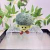 Broccoli Green Charming Plush Keyring With Colorful Chick Design For Kids