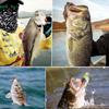 88PC Fish Lure Set: Full-Swim, Glitter Vib, Pencil, Frog, Soft Lures — Compatible with Perch & Black Fish