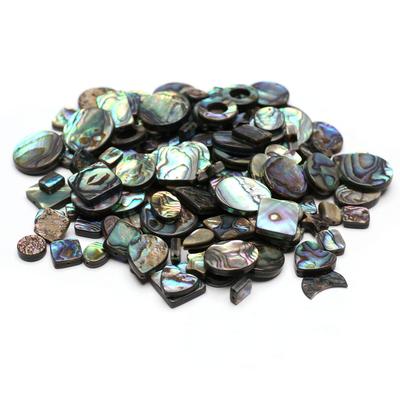 5Pcs/Pack Natural Abalone Shell Beads,Multi Shape Marine Style Shells Loose Beads for Jewelry Making DIY Women Men Necklaces Bracelets Accessories