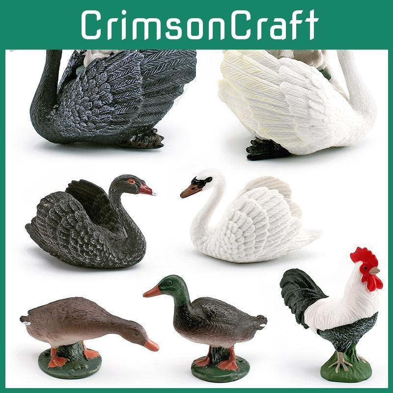 Animal Figures Realistic Model With Ducks Rooster Swans For Display Decorative