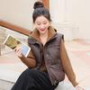 Foreign Style Stand-up Collar Down Cotton Clothes Vest Women's Autumn and Winter New Loose and Versatile Sleeveless Short Vest Jacket