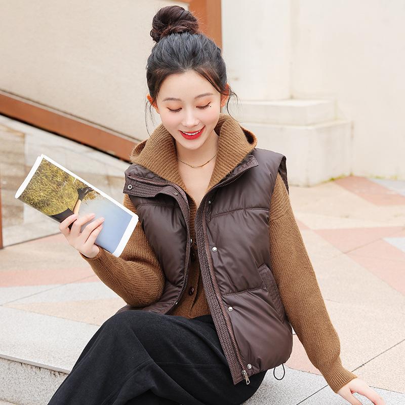 Foreign Style Stand-up Collar Down Cotton Clothes Vest Women's Autumn and Winter New Loose and Versatile Sleeveless Short Vest Jacket