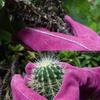 1 Pair Long Leather-Like Gardening Gloves with Extended Cowhide Sleeves Heavy-Duty Thorn-Resistant Rose Pruning Gloves Outdoor