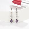 New 925 Sterling Silver Earrings Fashion AAA Zircon For Women Exquisite Student Girlfriend Jewelry Accessories Wedding PartyGood Product