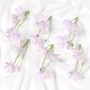 5/10/20PCs 12cm Silk Artificial Flowers 3Forks Bouquet Daisy for Home Room Wedding Decorations DIY Craft Garland Accessories