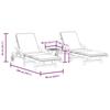 VidaXL Chaises longues lot de 2 avec table bois massif d'acacia, lit de bronzage, chaise longue d'extérieur, lit de jour 3206368
