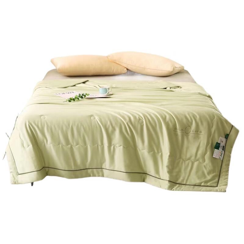Bruno BL-B08 Silkworm Protein Quilt