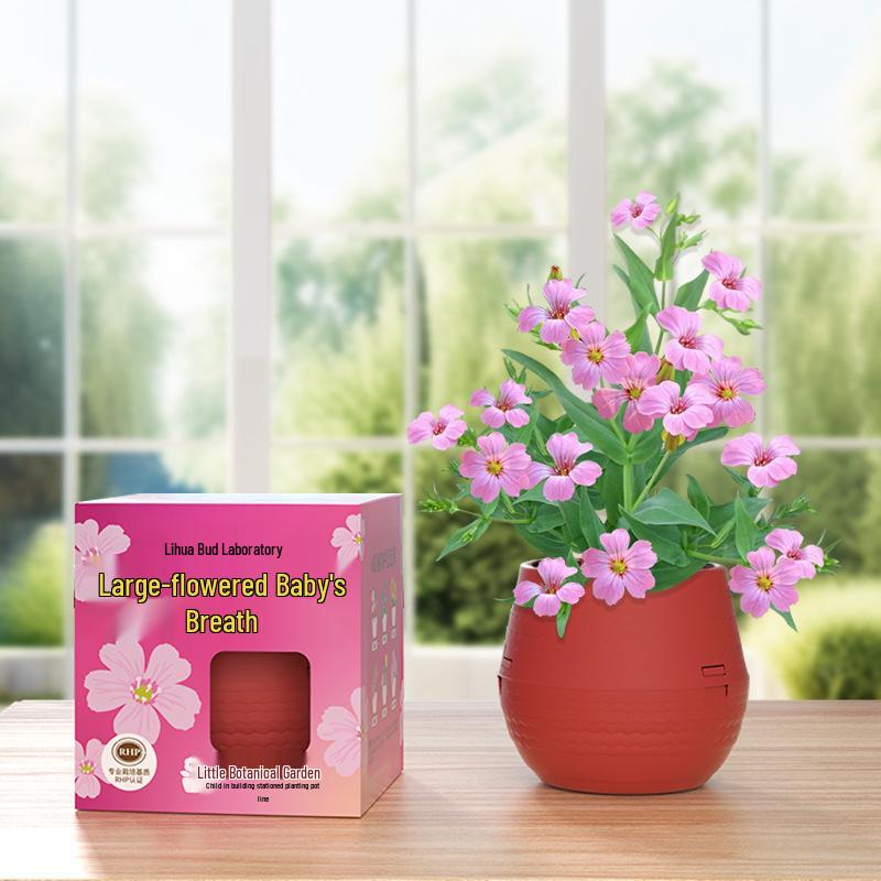Kids' Chili Planting Pot - Primary School Gardening Kit
