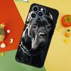 Italienische Cane Corso Mastiff Hunde Handyhülle Für iPhone 17 Pro Max16 15 14 13 11 12 Pro Max Plus 12 13 Mini 16e 17 Air Cover