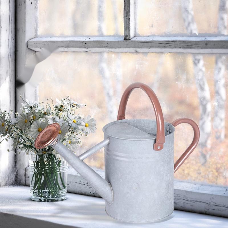4L Premium Dual-Use Watering Can for Flowers (European & American Style)