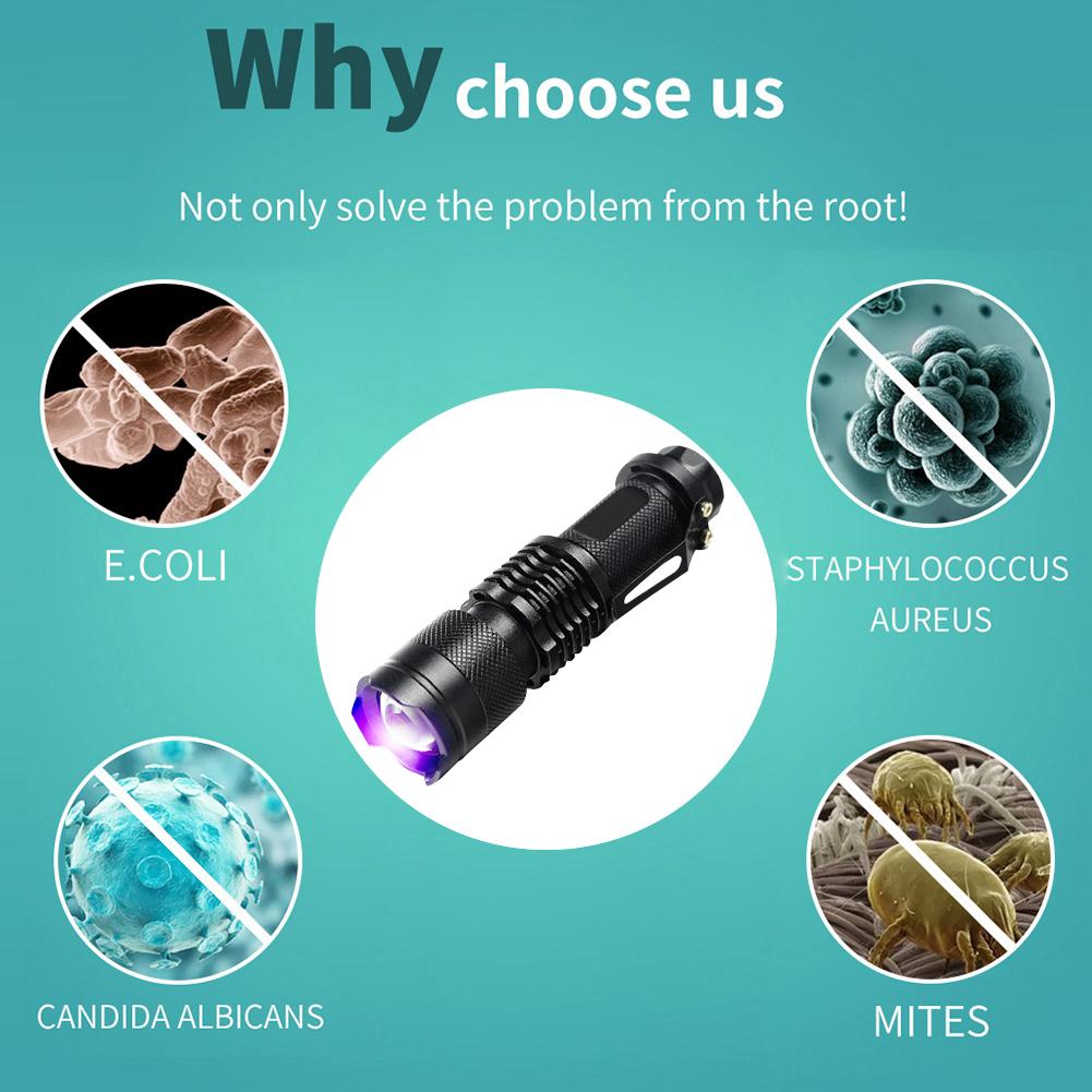 LED UV Flashlight 365/395nm Portable Mini Ultraviolet Torch Waterproof Zoomable Violet Light Pet Urine Scorpion Detector UV Lamp