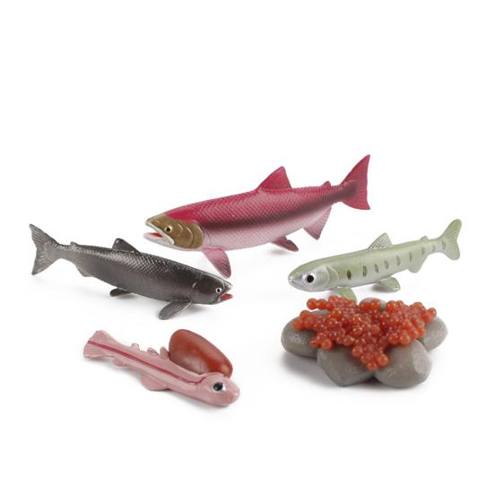 Model Toy Educational Design Early Simulation Plastic Animal Learning Growth Cycle Miniature